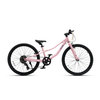 Bicicleta infantil Roda Pro Series V4 aro 24 niños rosada