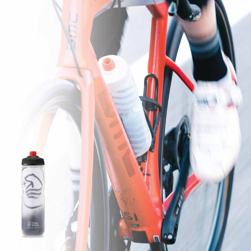 Botella Breakaway Insulated Big Bear 600ml