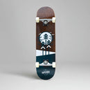 Skate Inpeddo Arrow Brown