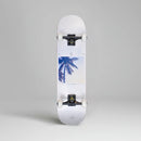 Skate Ridex Palm Beach Malibu