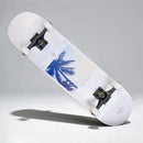 Skate Ridex Palm Beach Malibu