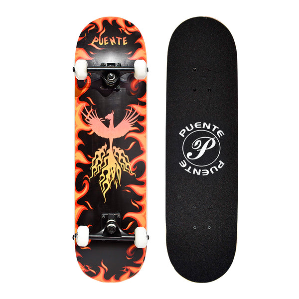 Skate Puente fénix