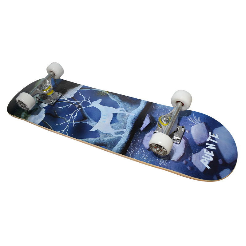 Skate Puente Expecto Patronum